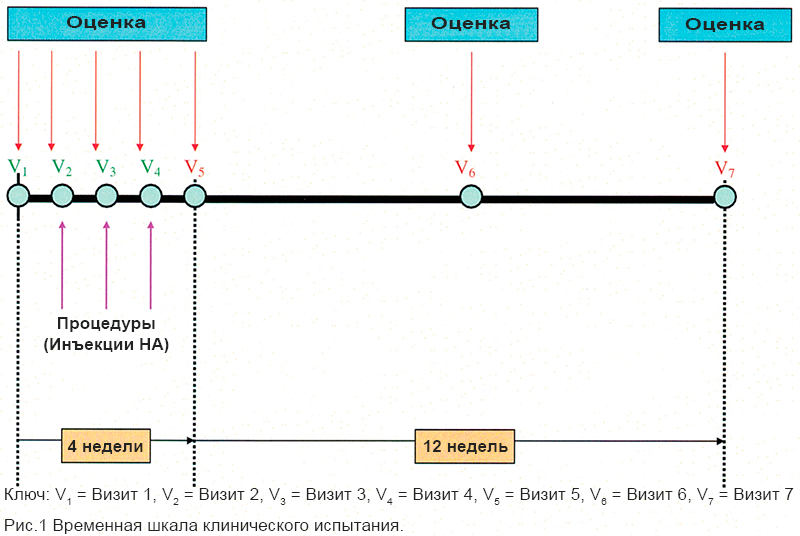 Временная шкала клинического испытания RenehaVis (РенехаВис)